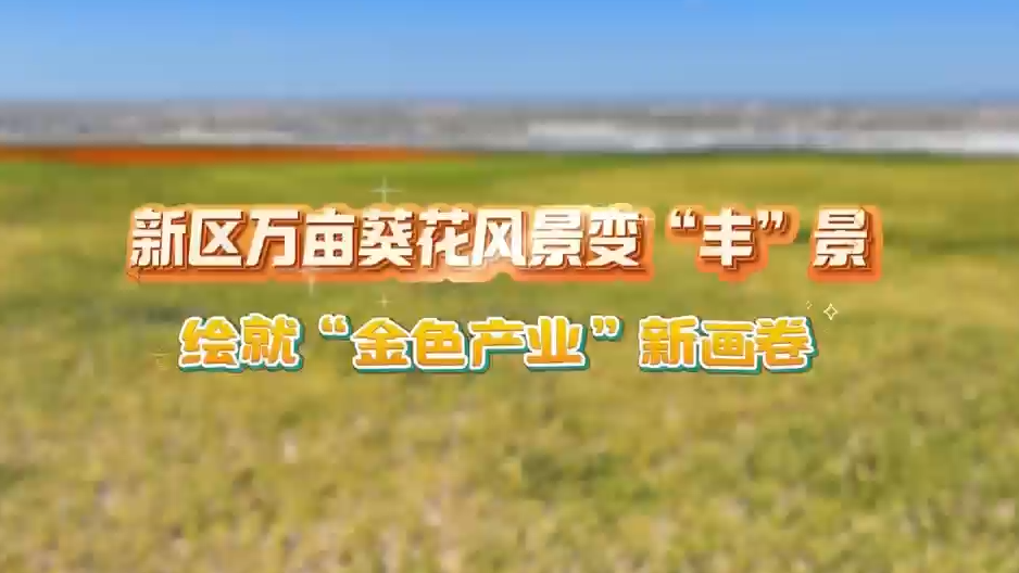 萬(wàn)畝葵花風(fēng)景變“豐”景 繪就“金色產(chǎn)業(yè)”新畫(huà)卷